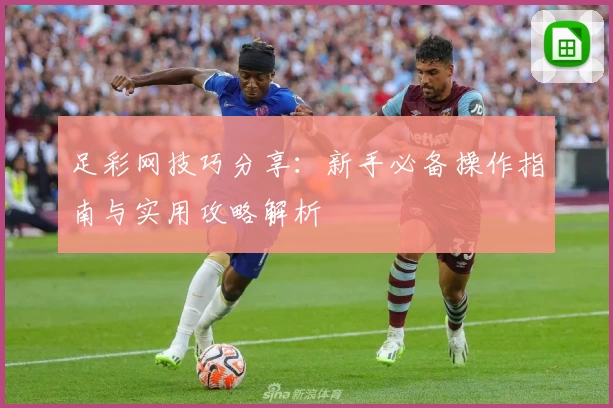 足彩网技巧分享：新手必备操作指南与实用攻略解析