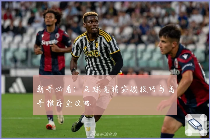 新手必看：足球竞猜实战技巧与高手推荐全攻略