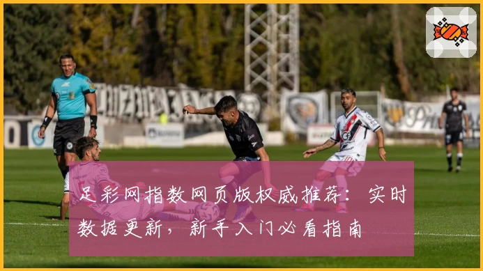 足彩网指数网页版权威推荐：实时数据更新，新手入门必看指南