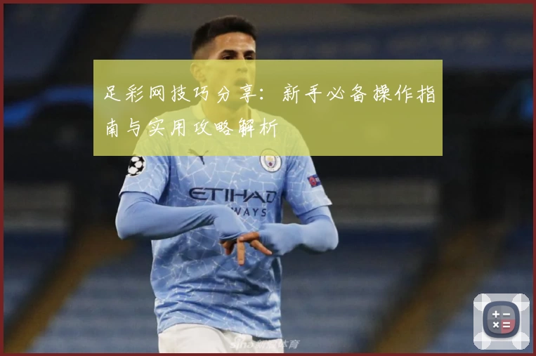 足彩网技巧分享：新手必备操作指南与实用攻略解析
